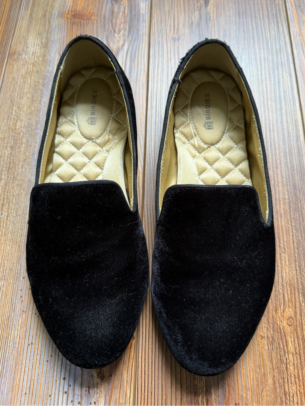 Birdies The Starling Black Velvet Loafers
